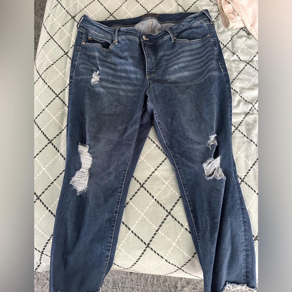 Torrid jeans
